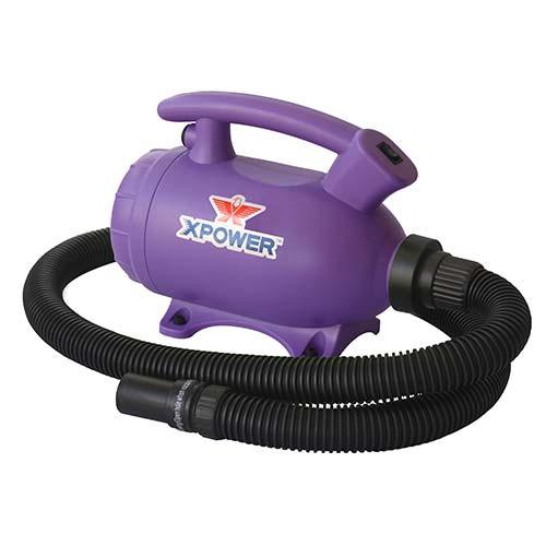 XPOWER B-55 Home Pet Dryer - Purple